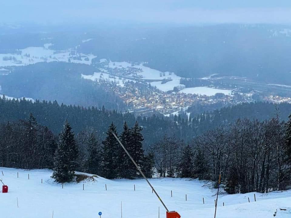 Place Royale Pour 10 A 12 Personnes A 30 Met Des Pistes De Ski Et Vtt Métabief Exterior foto