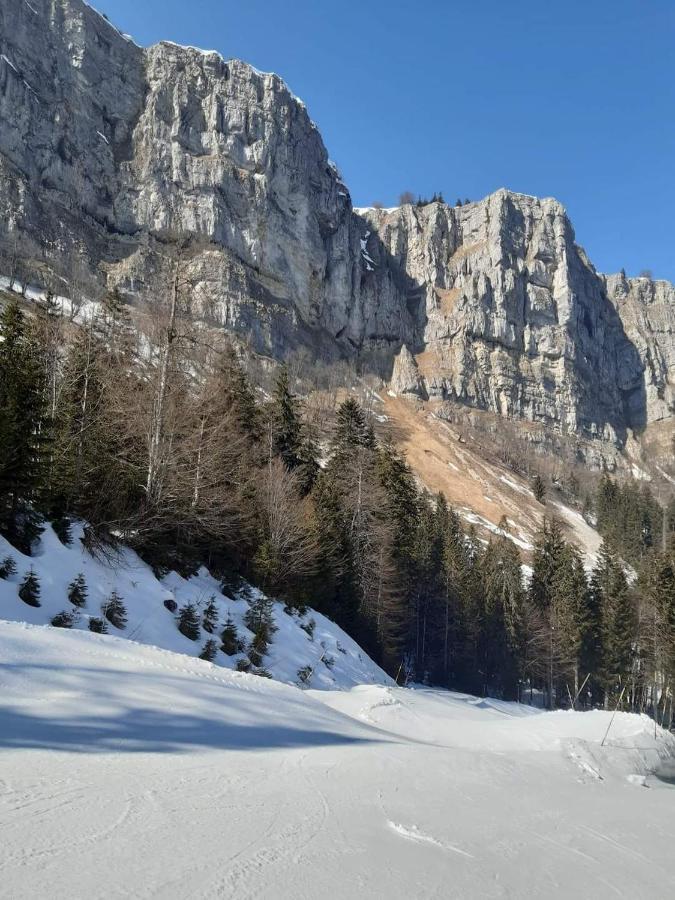Place Royale Pour 10 A 12 Personnes A 30 Met Des Pistes De Ski Et Vtt Métabief Exterior foto