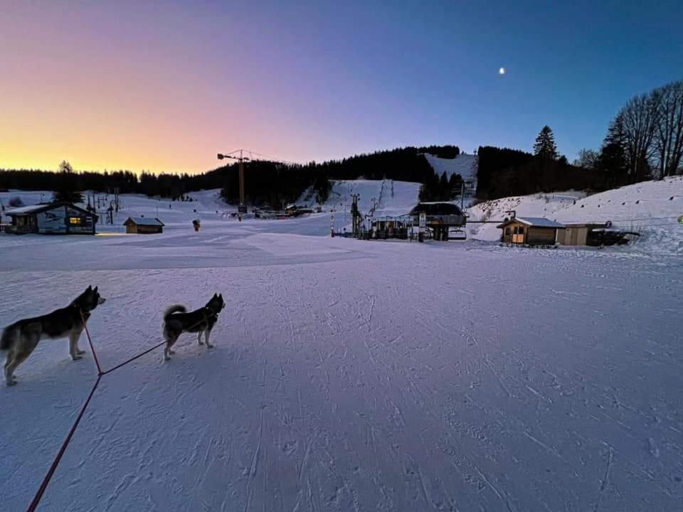 Place Royale Pour 10 A 12 Personnes A 30 Met Des Pistes De Ski Et Vtt Métabief Exterior foto
